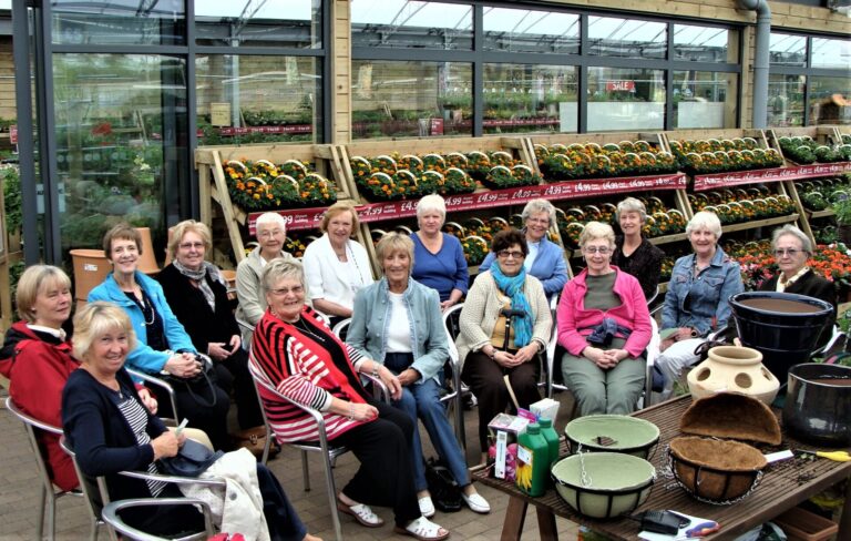 Latest 019 2 768x488